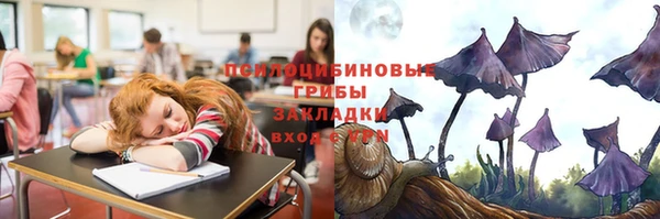 шишки Наволоки
