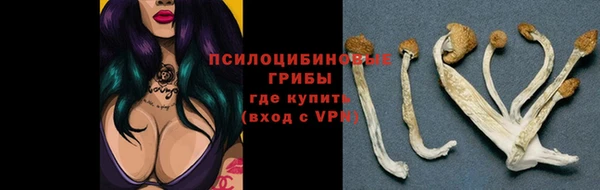 шишки Наволоки