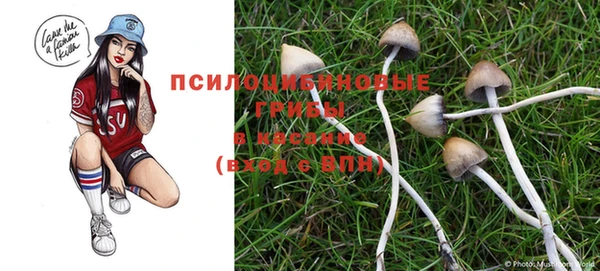 молекула духа Нея