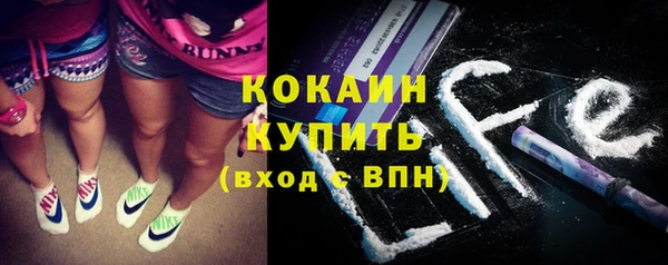 шишки Наволоки
