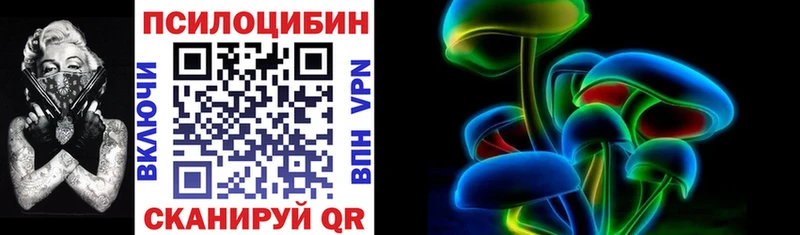закладка  кракен tor  Псилоцибиновые грибы Psilocybine cubensis  Кириллов 